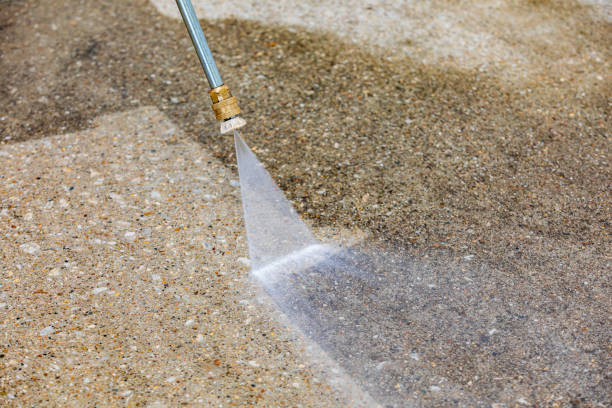 Best Animal Enclosure Cleaning  in Jarrell, TX